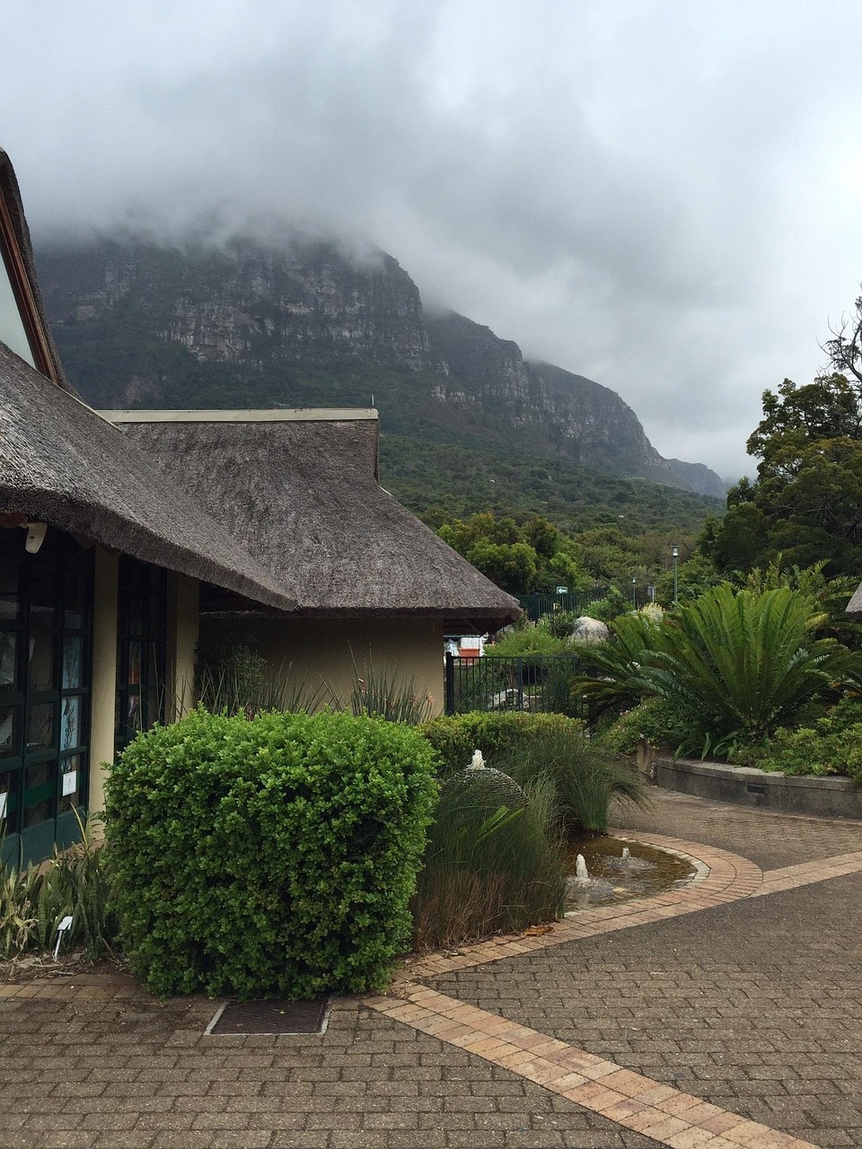 kirstenbosch, gardens, ca, cape, town, botanical, africa, south, green, nature, western, mountain, national, cape town, botany, newlands
