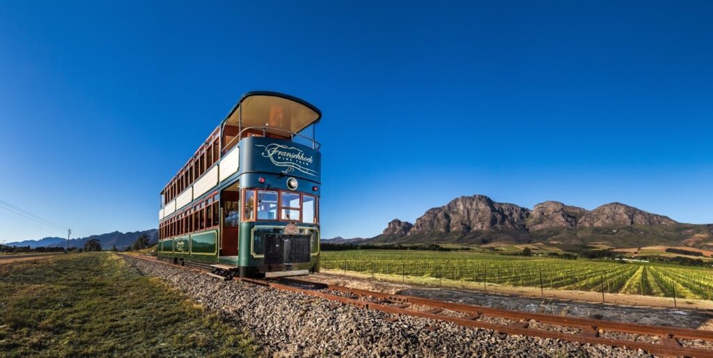 capepointspecialtours