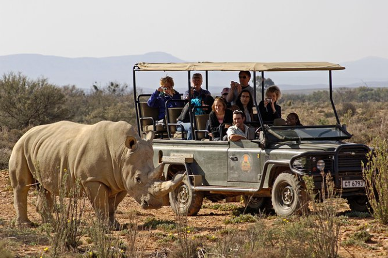 aquila game reserve